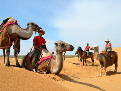 Un día con los camellos