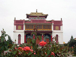 Geden Sheddup Choi Korling